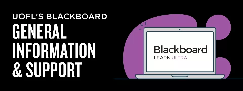 Blackboard General Information & Support with laptop and purple bubbles