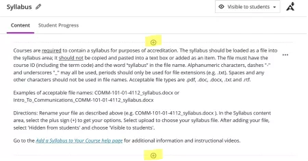 Blackboard Syllabus Content Section
